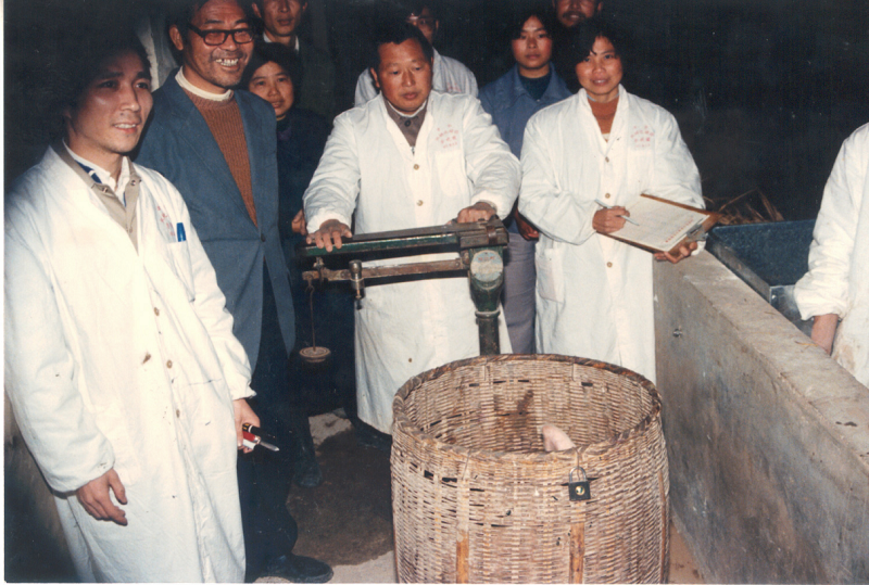 圖片4.png 圖片4.png